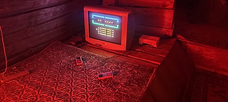 Retro-Gaming auf dem Wurzelfestival