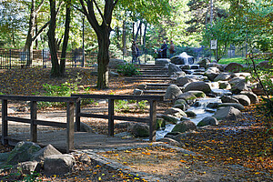 Weg im Volkspark Friedrichshain