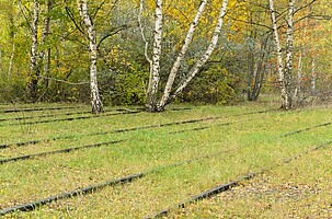 Blick auf die Schöneberger Wiese