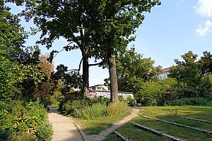 Zwei große Bäume mit dichten grünen Blättern ragen in die Höhe, flankiert von einem gepflegten Weg, der durch den Helmholtzplatz führt. Im Hintergrund steht ein kleines, buntes Gebäude mit Graffiti. Ein paar Stufen und Wiesenflächen sind im rechten Bildrand sichtbar.