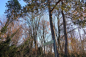 Der Eingang zum Englischen Garten in Berlin. Im Vordergrund steht ein grünes Schild mit der Aufschrift „Englischer Garten“, das auf einen Pfad hinweist. Hohe Bäume mit fast kahlen Ästen rahmen den Weg ein, während die tiefstehende Herbstsonne die Szene in warmes, goldenes Licht taucht. Die ruhige Atmosphäre des Parks ist spürbar.