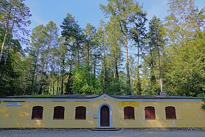 Ein Blick auf das Freiluftkino Rehberge im Volkspark Rehberge in Berlin. Vor einer gelben Wand mit geschlossenen Holztüren erstreckt sich ein Platz, der von hohen, grünen Bäumen eingerahmt ist. Die Szenerie wirkt ruhig und idyllisch, während die Herbstsonne die Umgebung in warmes Licht taucht.