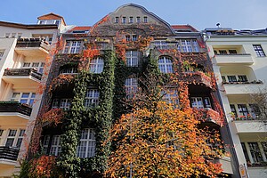 Ein historisches Wohnhaus mit einer prächtigen Fassade, teils bedeckt von grünem Efeu und leuchtend roten Herbstblättern. Das Gebäude hat große Fenster und Balkone, umrahmt von Rankpflanzen. Ein Baum mit orangefarbenem Laub steht davor, während der Himmel klar und blau ist.