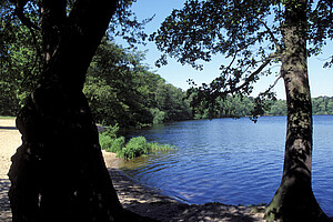 Am kleinen Müggelsee