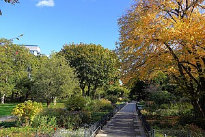 Ein gepflegter Spazierweg führt durch einen blühenden Garten im Volkspark Wilmersdorf. Links sieht man Bäume mit dichtem grünen Laub, während rechts ein großer Baum mit leuchtend gelben Herbstblättern das Bild dominiert. Der Himmel ist blau, mit ein paar weißen Wolken. Beete mit bunten Blumen und Pflanzen säumen den Weg, der von einem kleinen Zaun begrenzt wird.