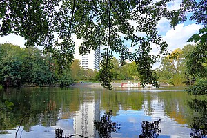 Das Bild zeigt den Fennpfuhl-See in Berlin, eingerahmt von den überhängenden Ästen eines Baumes im Vordergrund. Im Hintergrund sind ein modernes, hohes Wohnhaus und eine mit Graffiti verzierte Mauer zu sehen, die den urbanen Charakter des Parks widerspiegeln. Die Wasseroberfläche des Sees spiegelt Bäume und das Gebäude wider.