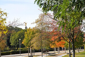 Die goldene Siegessäule ragt stolz über das bunte Herbstlaub hinweg. Vorne führt ein gepflegter Weg, gesäumt von Bäumen in Rot- und Gelbtönen, in Richtung der Säule.