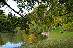 Ein idyllisches Ufer am See im Fennpfuhl-Park. Ein großer Baum mit ausladenden Ästen rahmt das Bild ein. Auf der Wiese hinter dem See sitzen vereinzelt Menschen und genießen die Natur. Das Wasser spiegelt das saftige Grün der Bäume, während im Hintergrund weitere Baumgruppen und Spazierwege zu erkennen sind.