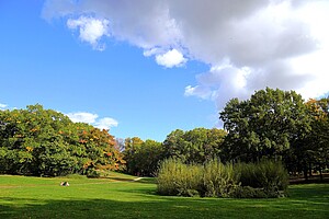 Eine weitläufige Wiese im Volkspark Wilmersdorf. Der Himmel ist zur Hälfte von dichten weißen Wolken bedeckt, die andere Hälfte zeigt klares Blau. Links stehen große Laubbäume mit grünen und gelben Blättern, ein paar davon leuchten in Herbstfarben. Rechts im Bild sieht man ein dichteres Gehölz. Im Vordergrund befindet sich eine kleinere Gruppe Menschen, die auf der Wiese sitzt.